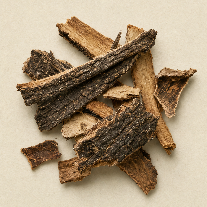 Prickly ash bark close-up